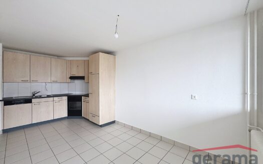 Bel appartement de 4.5 pièces au rez-de-chaussée