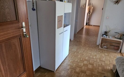 Charmant appartement de 4.5 pièces à Treyvaux