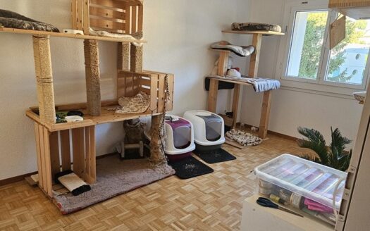 Charmant appartement de 4.5 pièces à Treyvaux