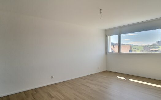 Moderne 3.5 Zimmerwohnung in Heitenried