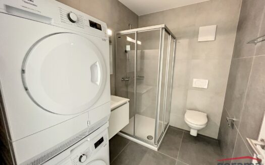 Appartement de 4.5 pièces en souplex à louer