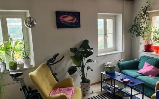 Joli 2.5 pièces à Fribourg !