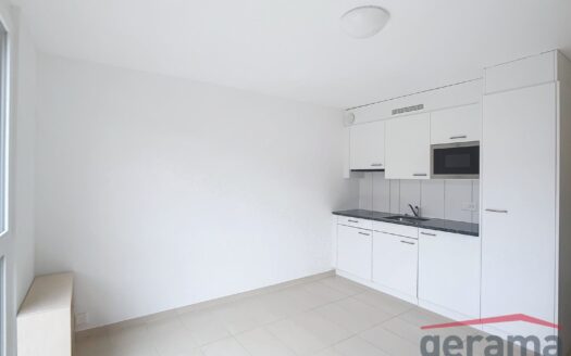 Appartement 1.5 pièce au 5ème étage