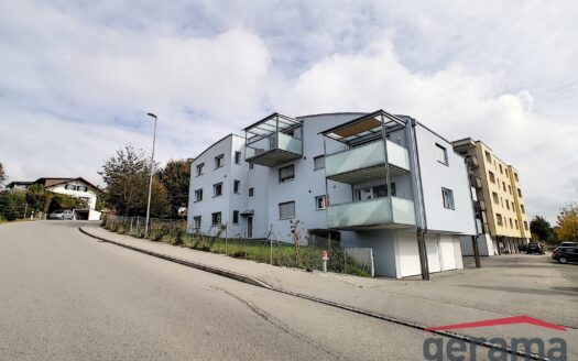 Aussenparkplatz zu Vermieten in Schmitten