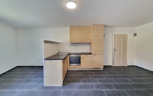 Charmant studio au 1er à Bex