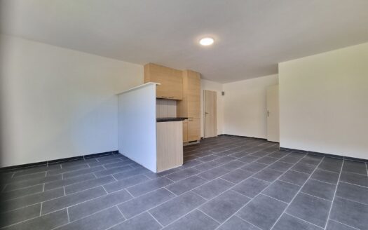 Charmant studio au 1er à Bex