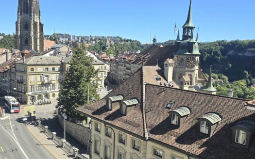 Magnifiques appartements à louer à Fribourg