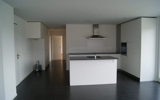 Geräumige Attika-Wohnung