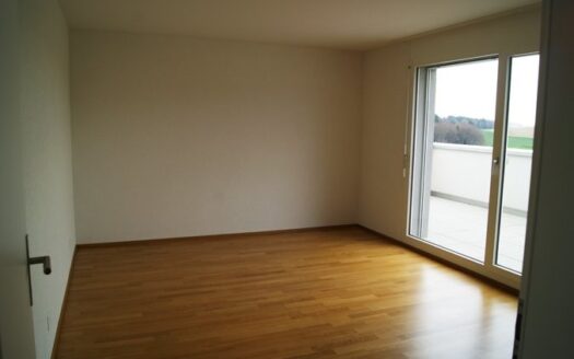 Geräumige Attika-Wohnung