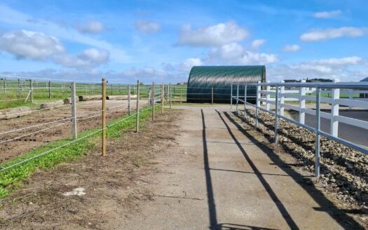 Grande stabulation moderne pour 4 chevaux