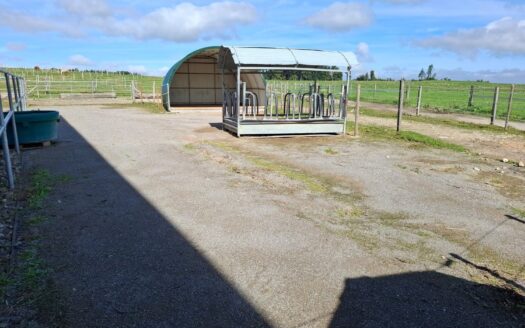 Grande stabulation moderne pour 4 chevaux