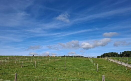 Grande stabulation moderne pour 4 chevaux