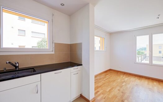 Helle, geräumige 5.5 Zimmerwohnung