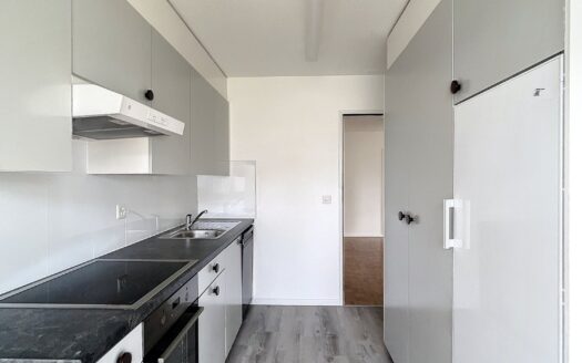 Renovierte 4.5 Zimmerwohnung in Schmitten