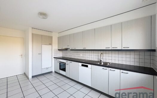 Spacieux 4.5 pièces sur les hauts de Fribourg