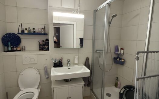 APPARTEMENTS 3.5 PIÈCES ENTIÈREMENT RÉNOVÉS, à FR