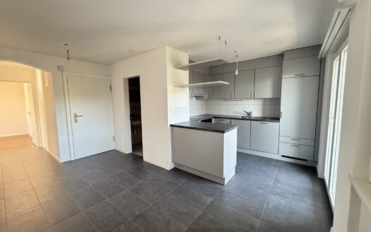 Renovierte 3.5 Zimmerwohnung in Düdingen !