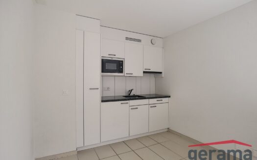 Idéal pour un étudiant !