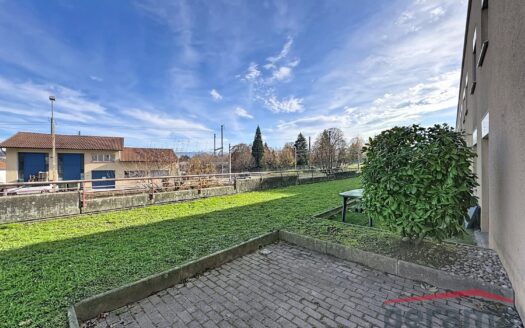 Appartement 1.5 pièce avec terasse