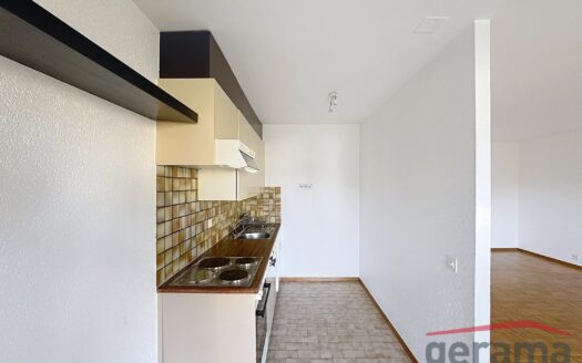 Appartement 1.5 pièce avec terasse