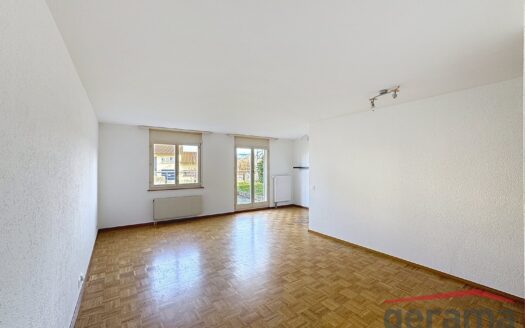 Appartement 1.5 pièce avec terasse