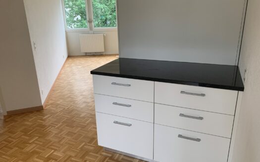 Appartement 2.5 pièces à Mon-Repos