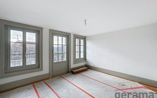 Magnifiques appartements à louer à Fribourg