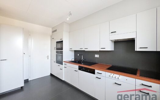Bel Appartement 4.5 pièces au 6ème