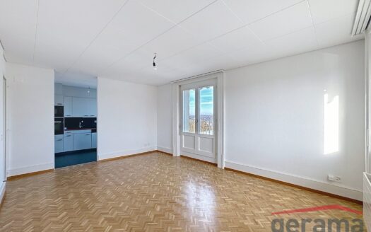 Bel Appartement 4.5 pièces au 6ème