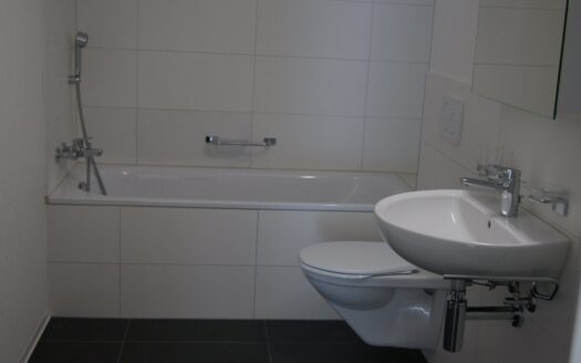 Schöne 3.5 Zimmerwohnung im Burgbühl !