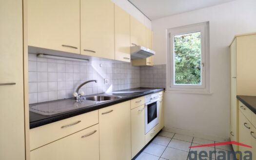 Appartement 4.5 pièces au rez à Fribourg