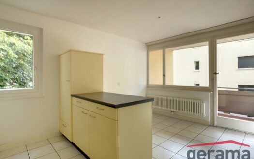 Appartement 4.5 pièces au rez à Fribourg
