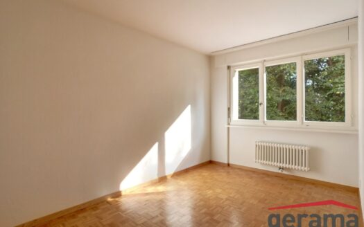 Appartement 4.5 pièces au rez à Fribourg