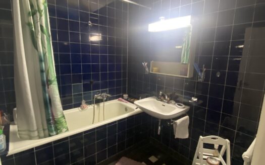 Bel appartement au centre Ville