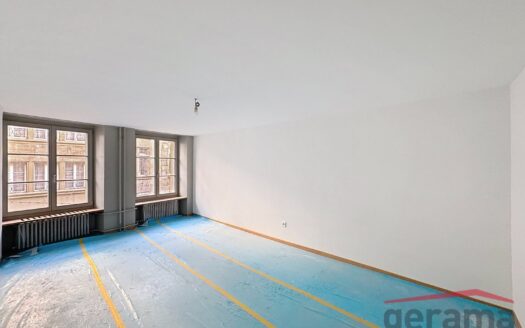 Magnigiques appartements à louer à Fribourg