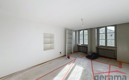 Magnigiques appartements à louer à Fribourg