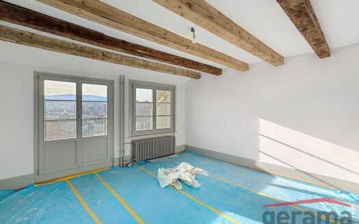 Magnifiques appartements à louer à Fribourg