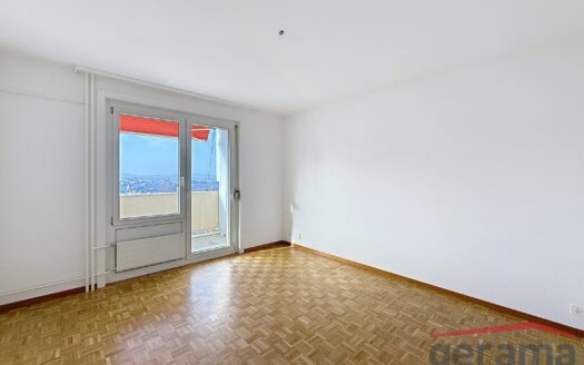 Appartement 2.5 pièces avec belle vue