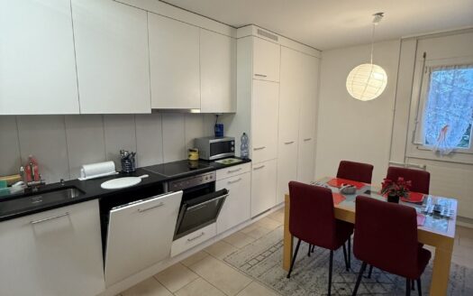 APPARTEMENTS 3.5 PIÈCES ENTIÈREMENT RÉNOVÉS, à FR