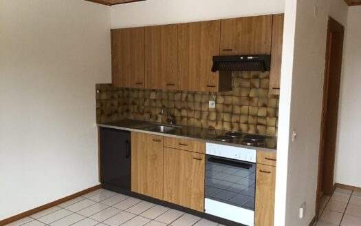 Appartement 3.5 pièces à Lentigny !