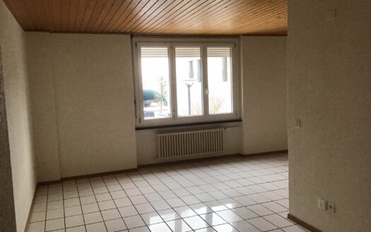 Appartement 3.5 pièces à Lentigny !
