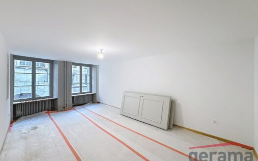 Magnifique appartement à louer à Fribourg