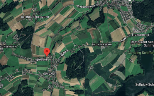 Très bel appartement rénové de 4.5 pces avec jardin