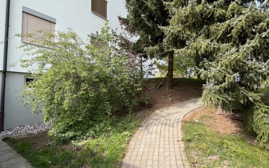 Sehr schöne renovierte 4.5-Zimmer-Wohnung mit Garten