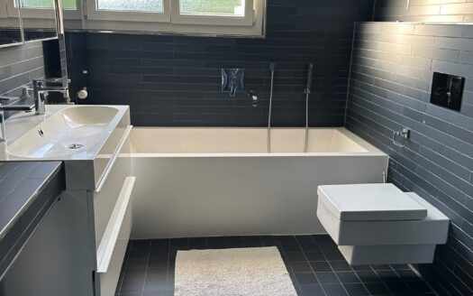 4.5 pièces rénové, 1er loyer net offert !