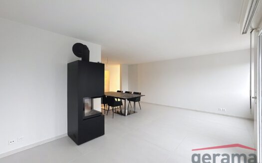 4.5 pièces rénové, 1er loyer net offert !