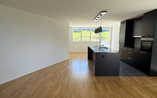 Objet unique 4.5pcs neuf en attique-128m2 pondérés