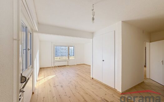 Appartement rafraîchi de 3.5 pièces au 4e étage