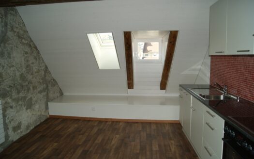 Bel appartement en duplex