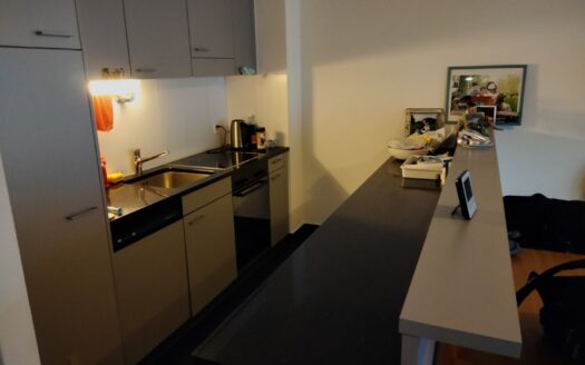 Confortable appartement de 2.5 pièces avec vue